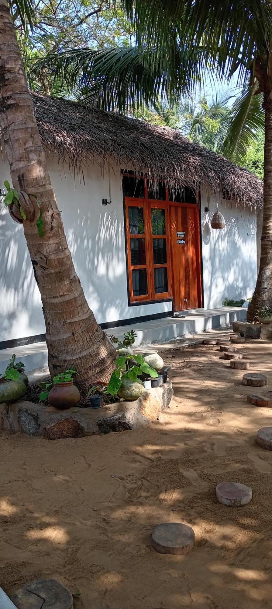 Surfing Lion Hostel ארוגם מראה חיצוני תמונה