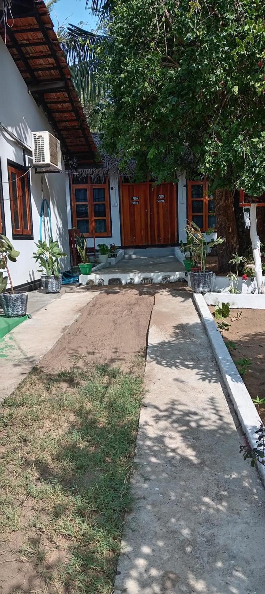 Surfing Lion Hostel ארוגם מראה חיצוני תמונה