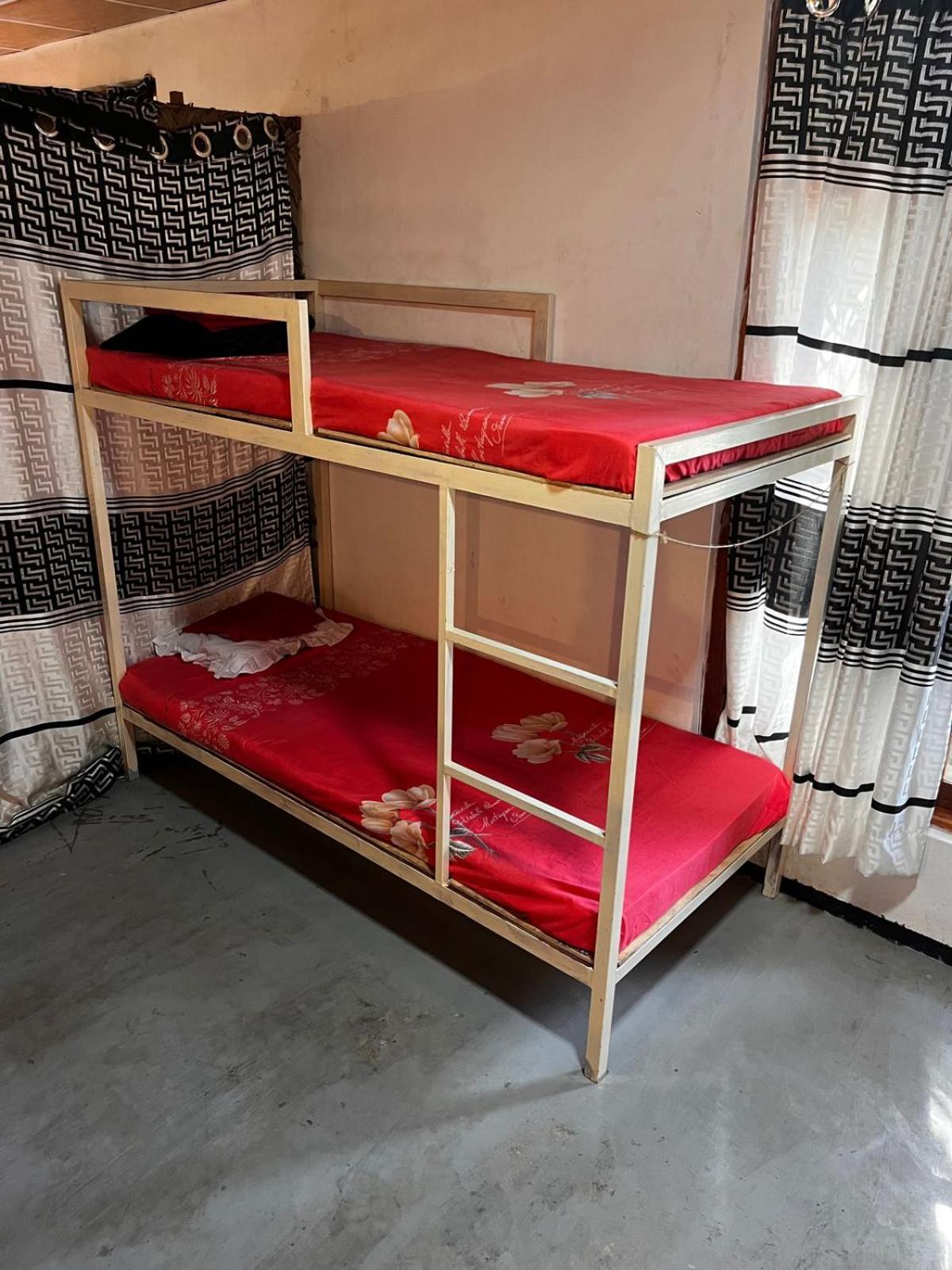 Surfing Lion Hostel ארוגם מראה חיצוני תמונה