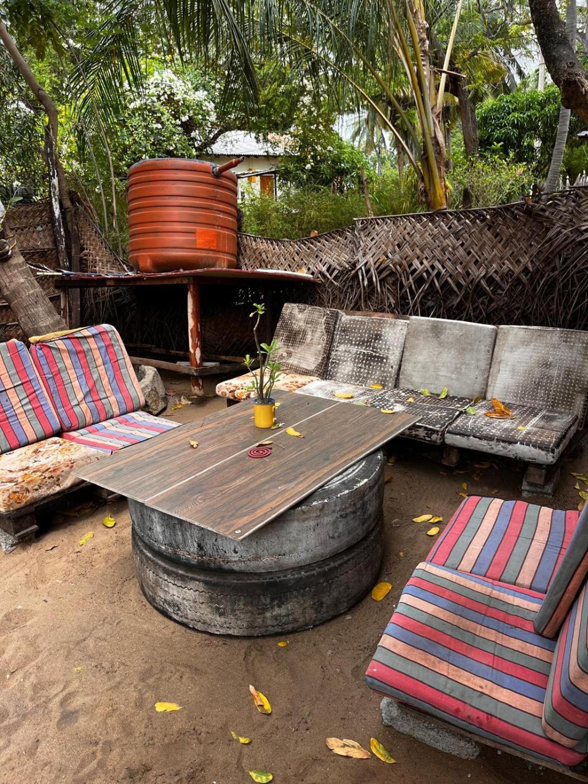 Surfing Lion Hostel ארוגם מראה חיצוני תמונה