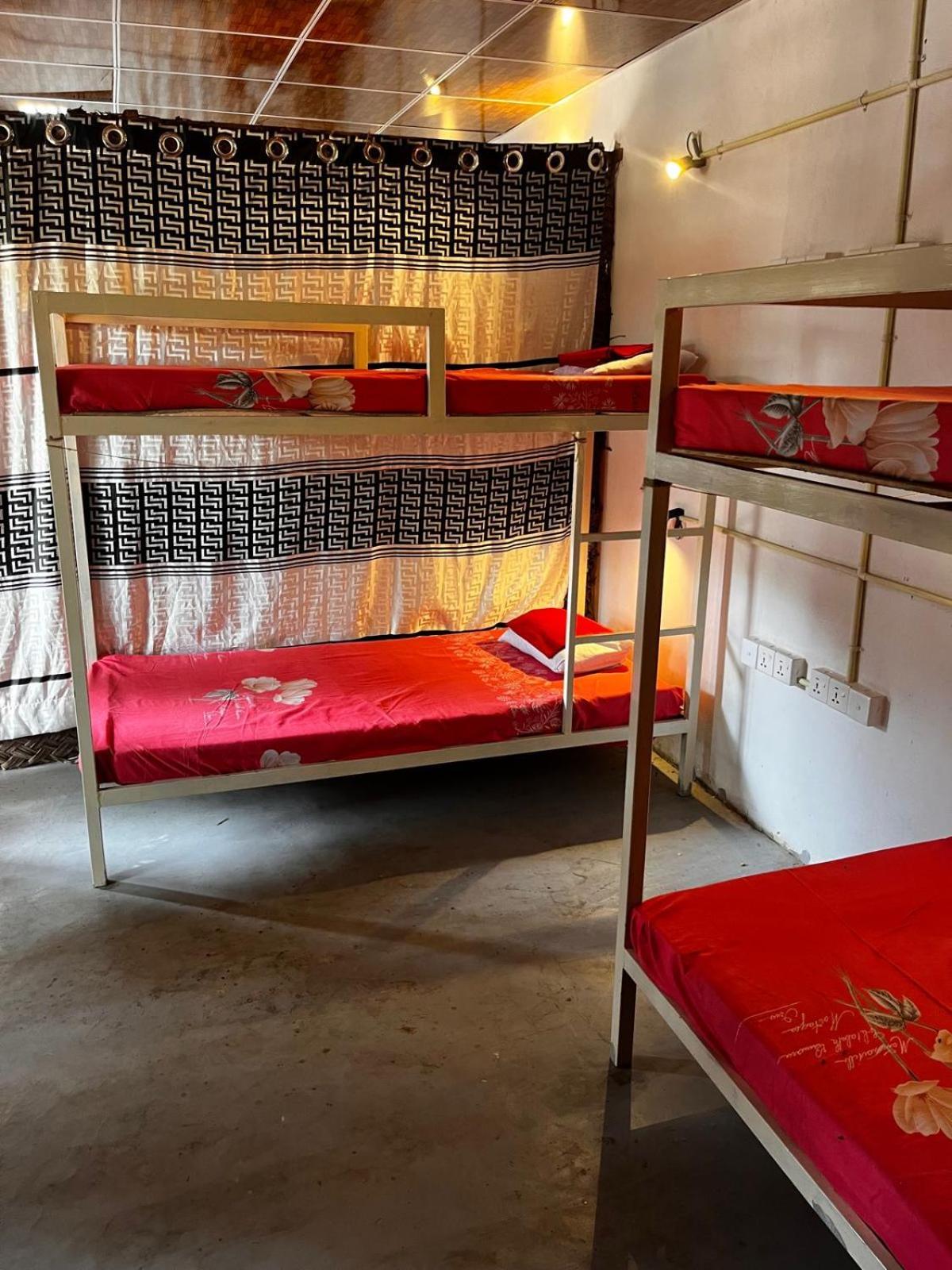 Surfing Lion Hostel ארוגם מראה חיצוני תמונה