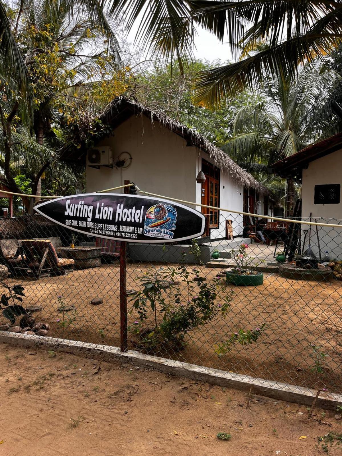 Surfing Lion Hostel ארוגם מראה חיצוני תמונה