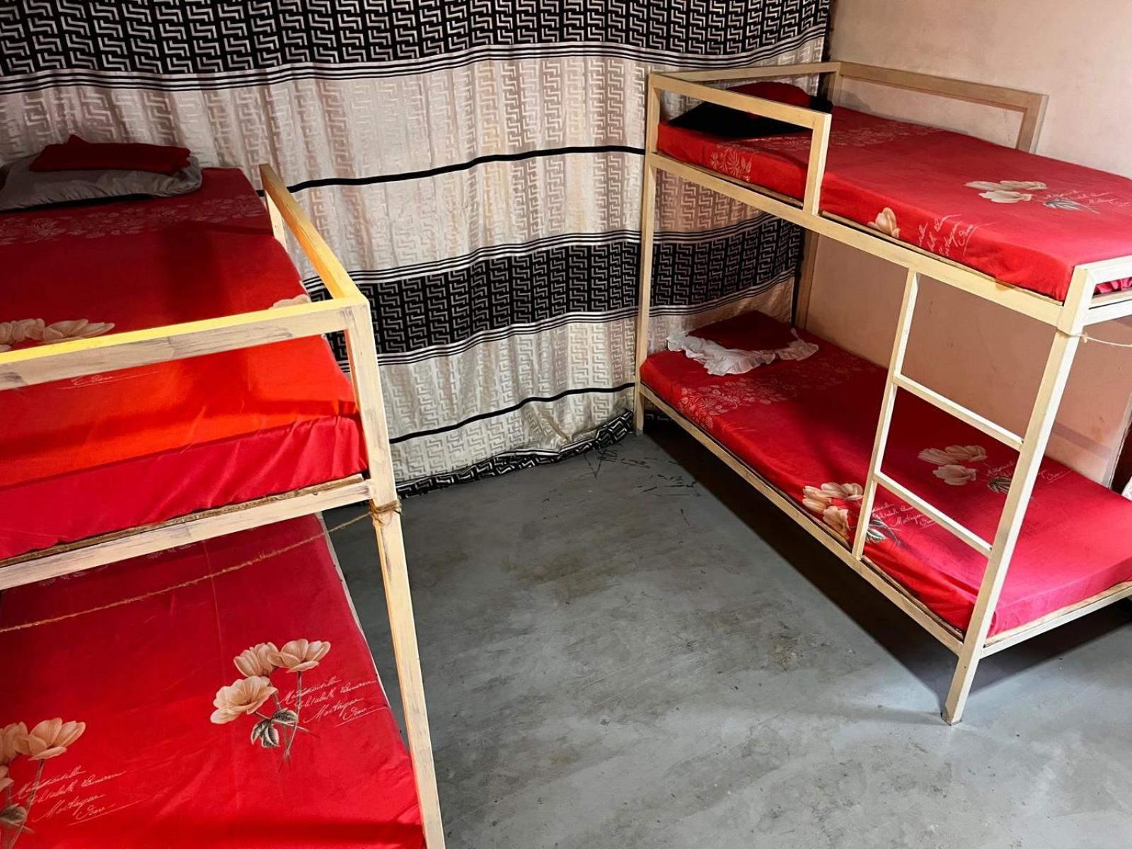 Surfing Lion Hostel ארוגם מראה חיצוני תמונה