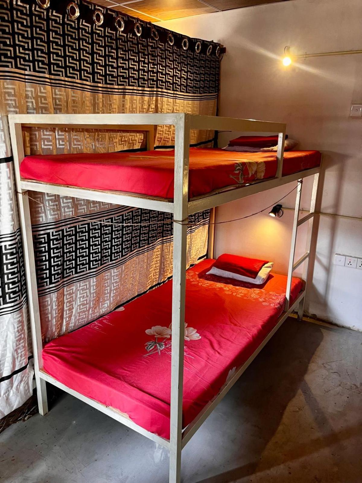Surfing Lion Hostel ארוגם מראה חיצוני תמונה