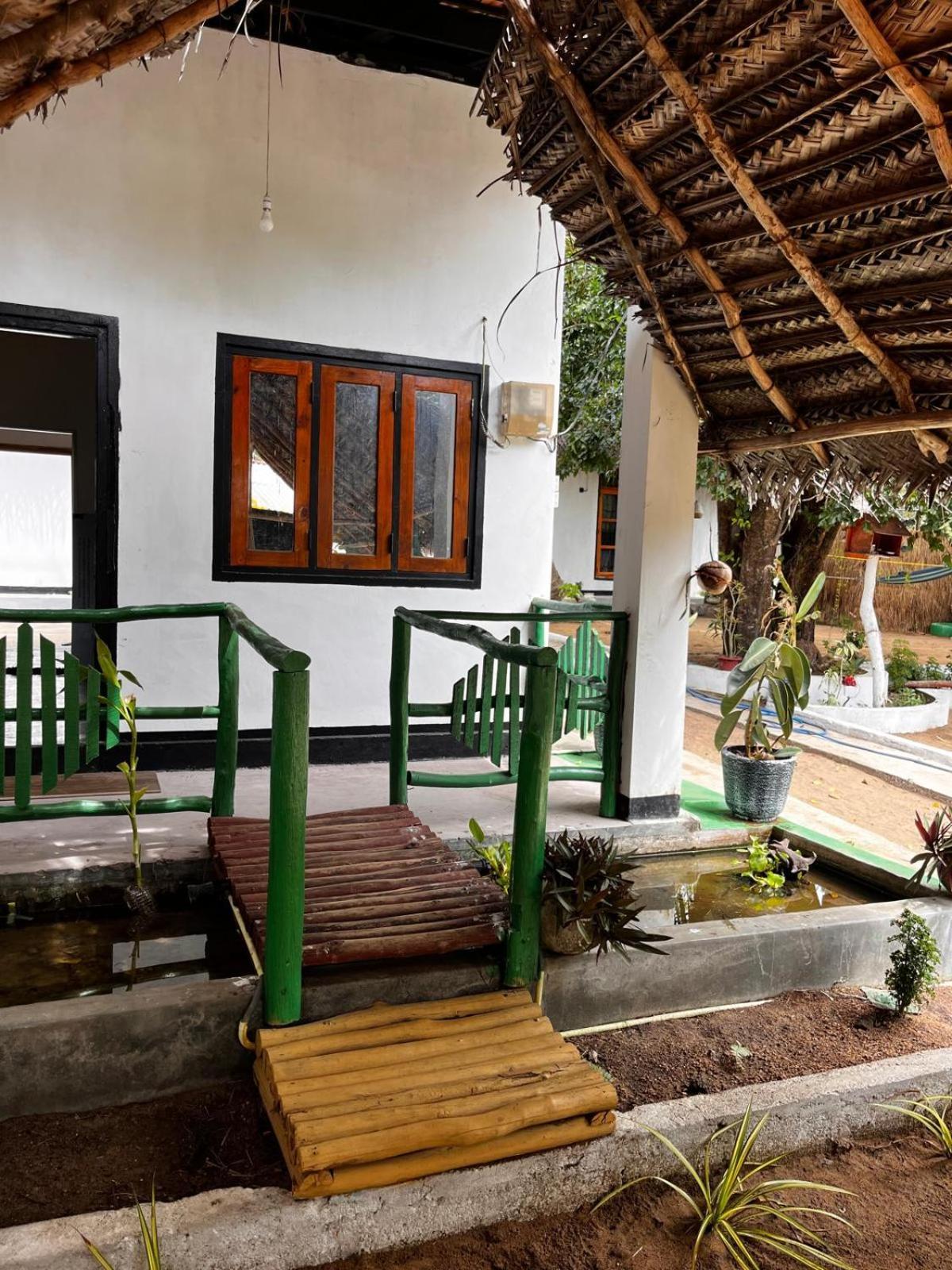 Surfing Lion Hostel ארוגם מראה חיצוני תמונה