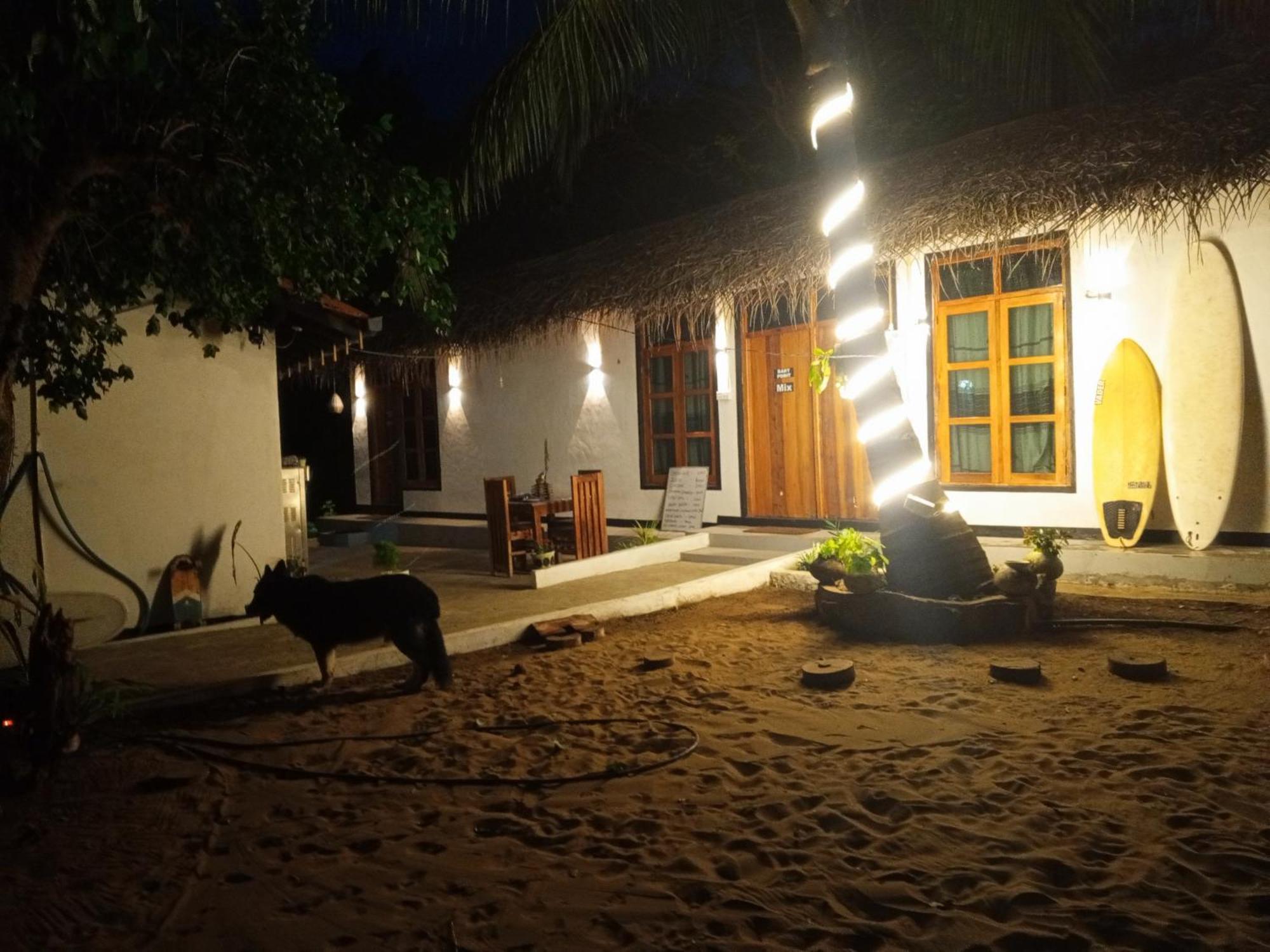 Surfing Lion Hostel ארוגם מראה חיצוני תמונה