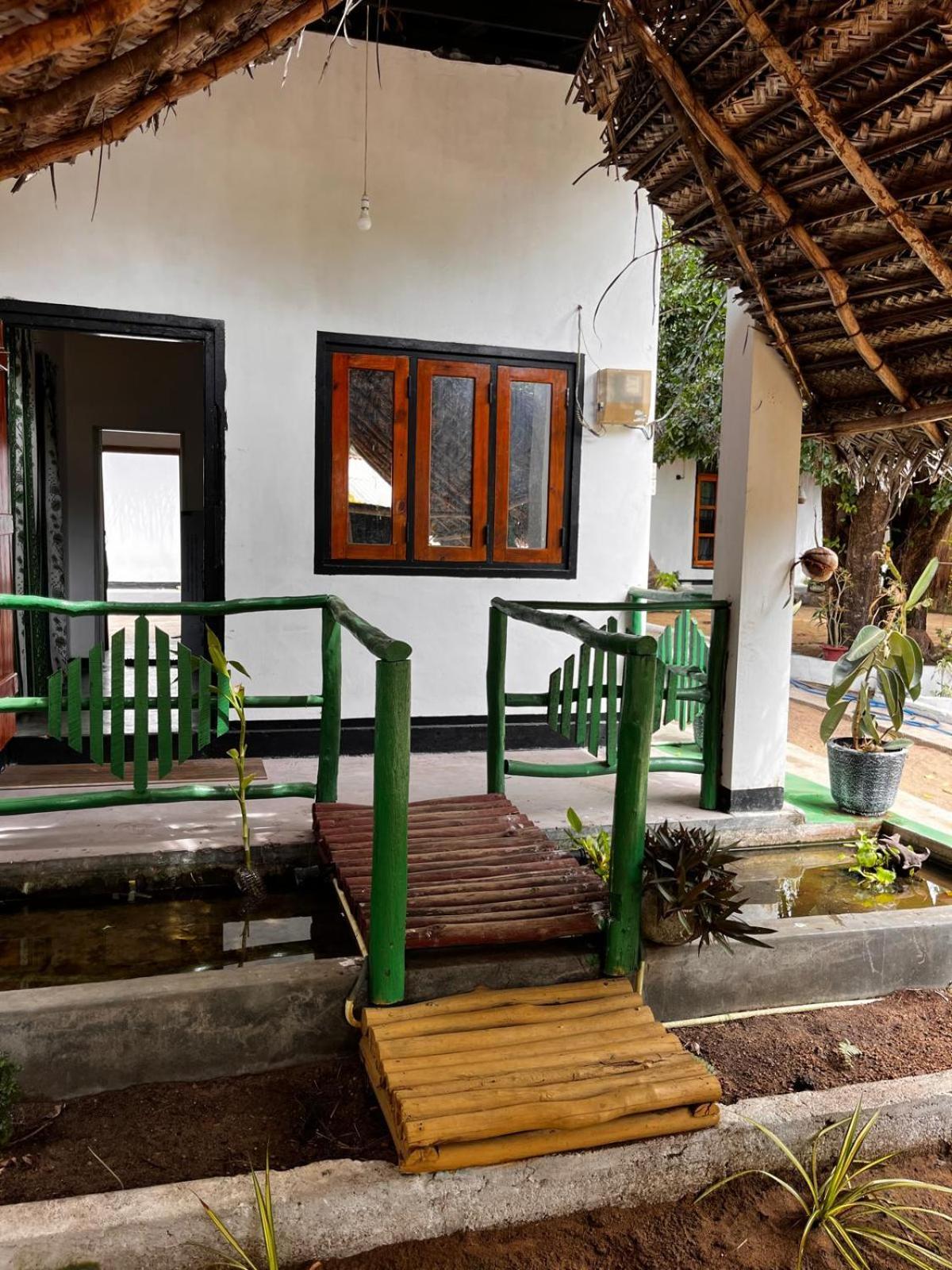 Surfing Lion Hostel ארוגם מראה חיצוני תמונה