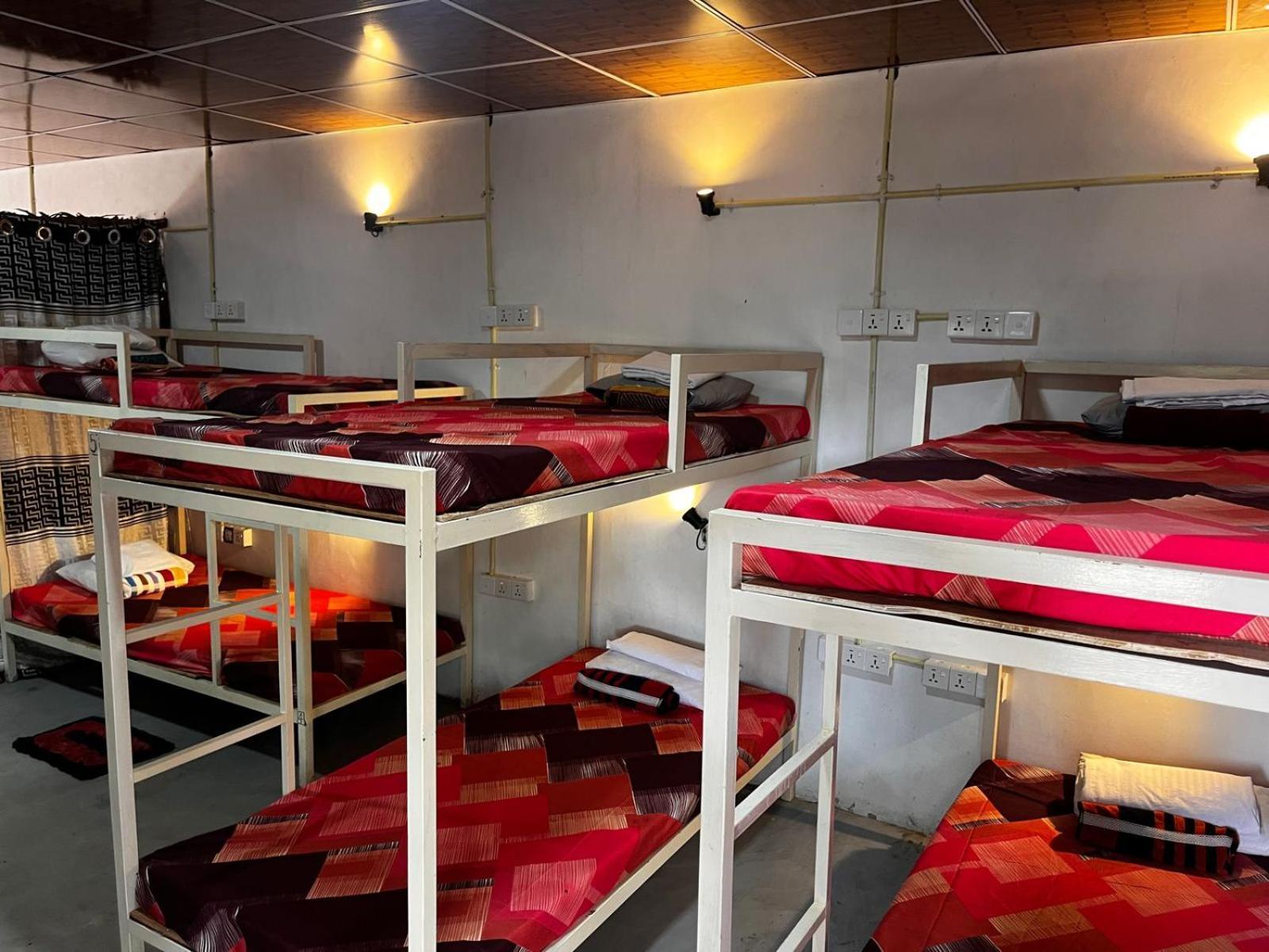 Surfing Lion Hostel ארוגם מראה חיצוני תמונה
