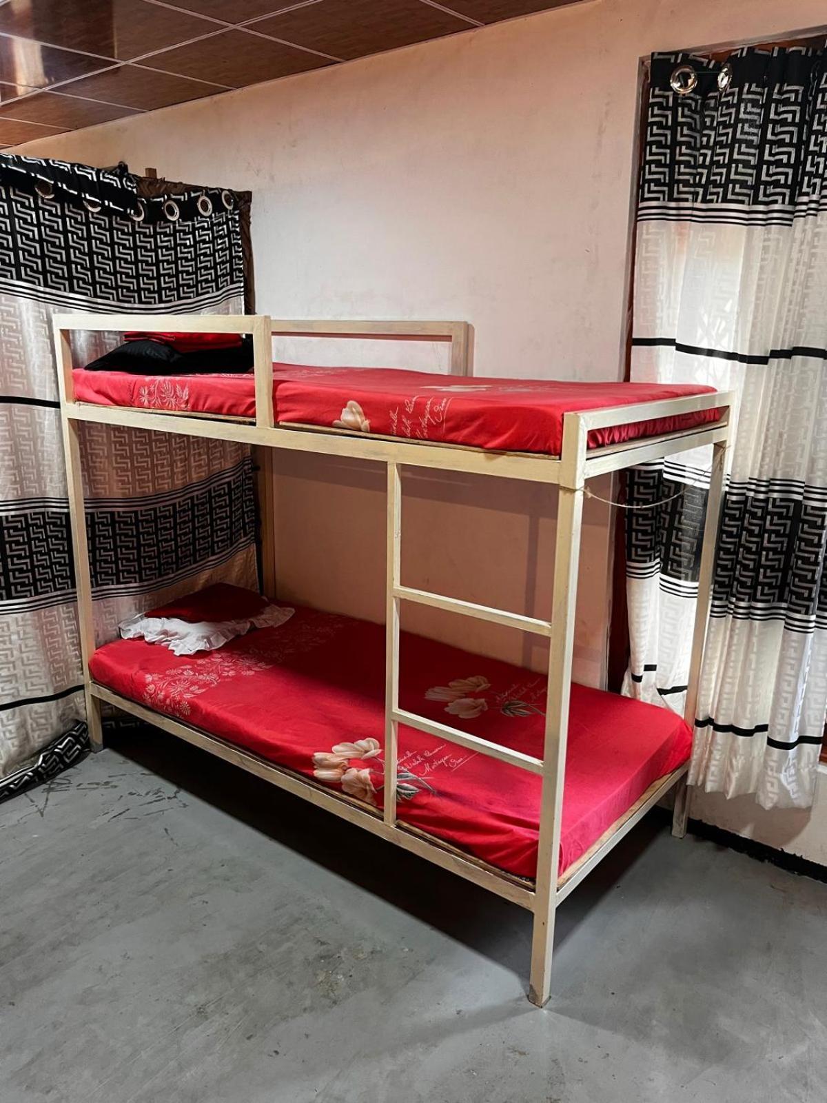 Surfing Lion Hostel ארוגם מראה חיצוני תמונה