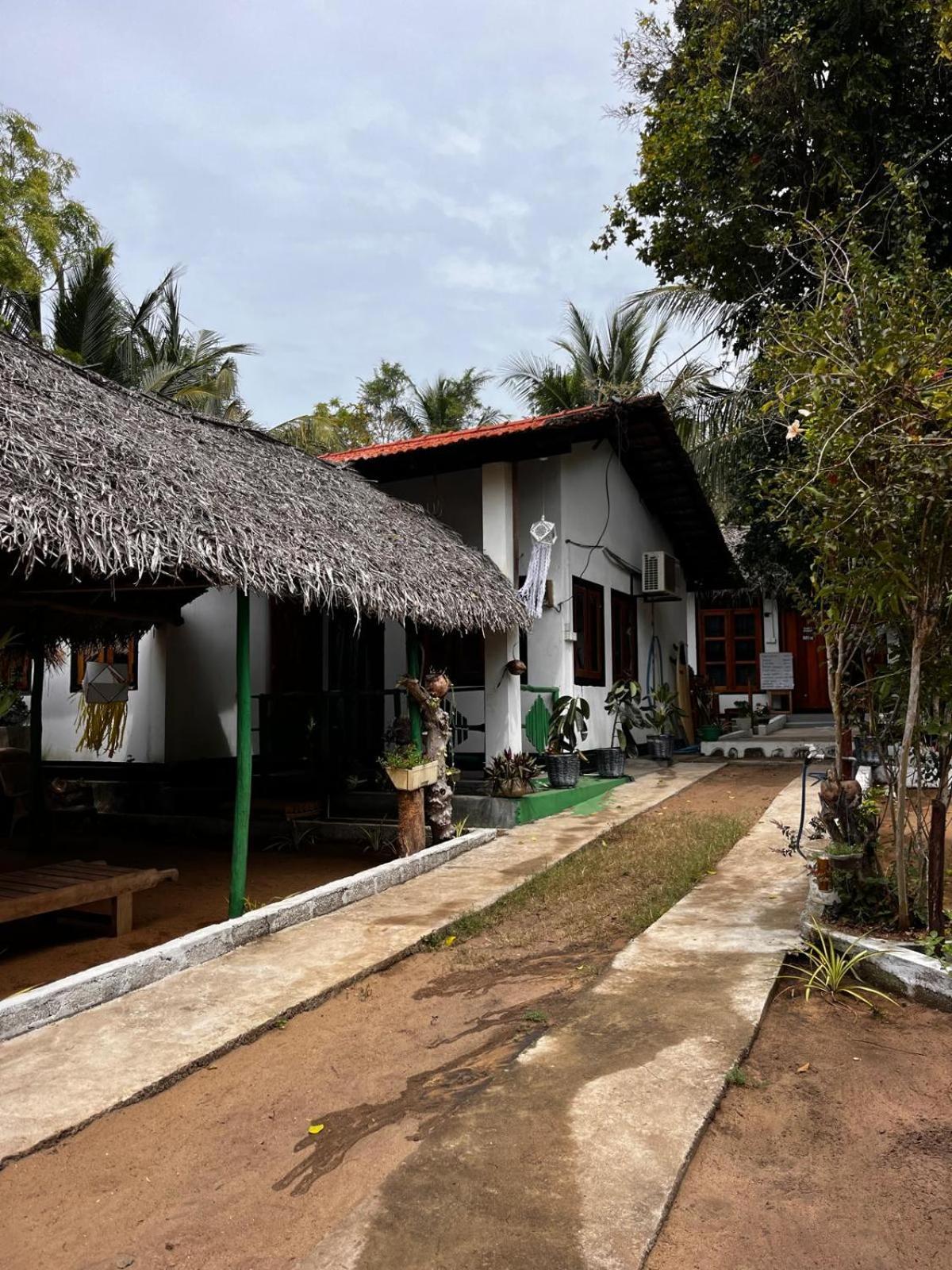 Surfing Lion Hostel ארוגם מראה חיצוני תמונה