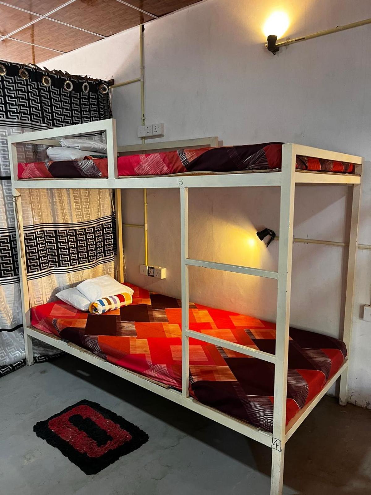 Surfing Lion Hostel ארוגם מראה חיצוני תמונה