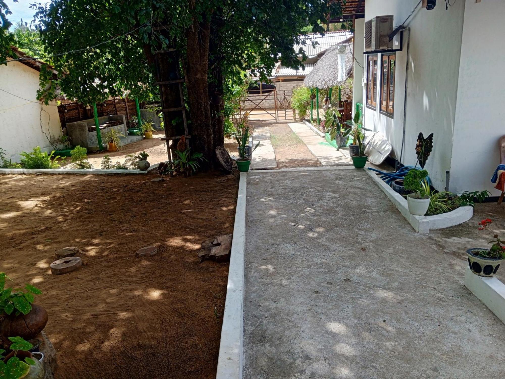 Surfing Lion Hostel ארוגם מראה חיצוני תמונה