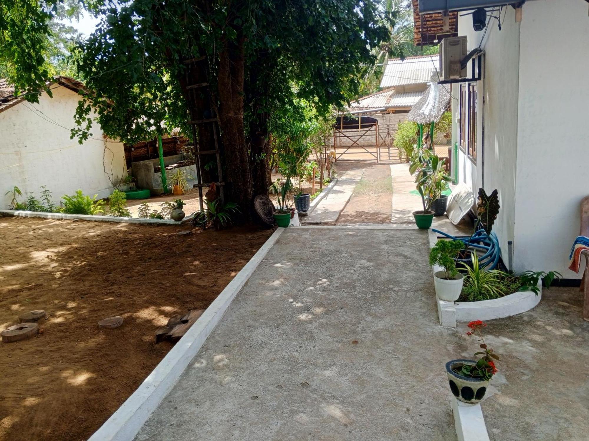 Surfing Lion Hostel ארוגם מראה חיצוני תמונה