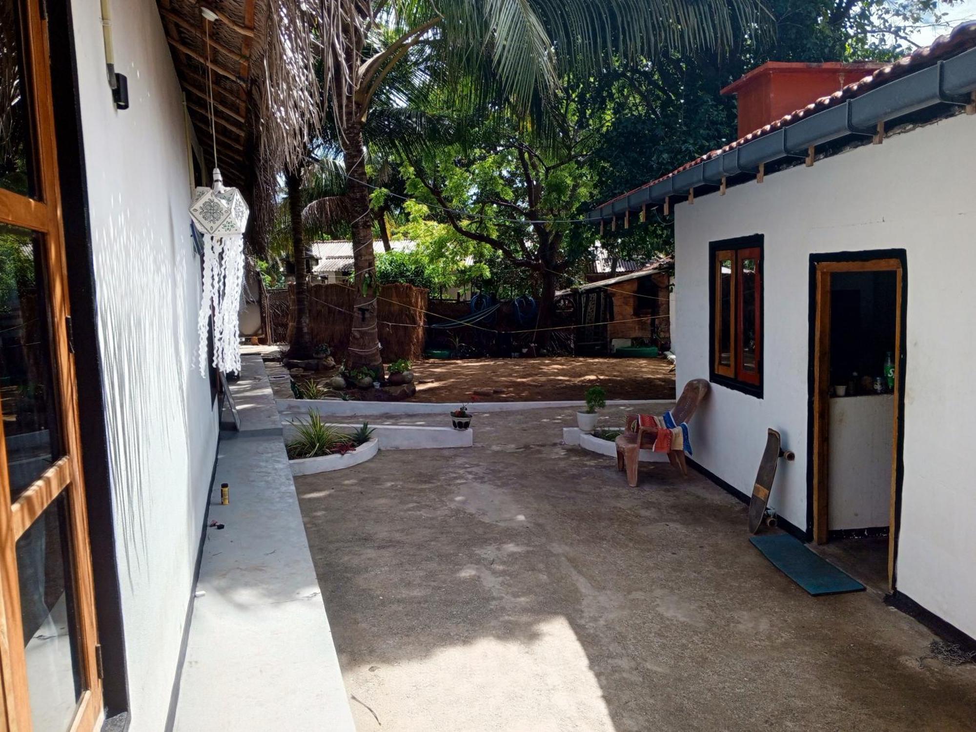 Surfing Lion Hostel ארוגם מראה חיצוני תמונה