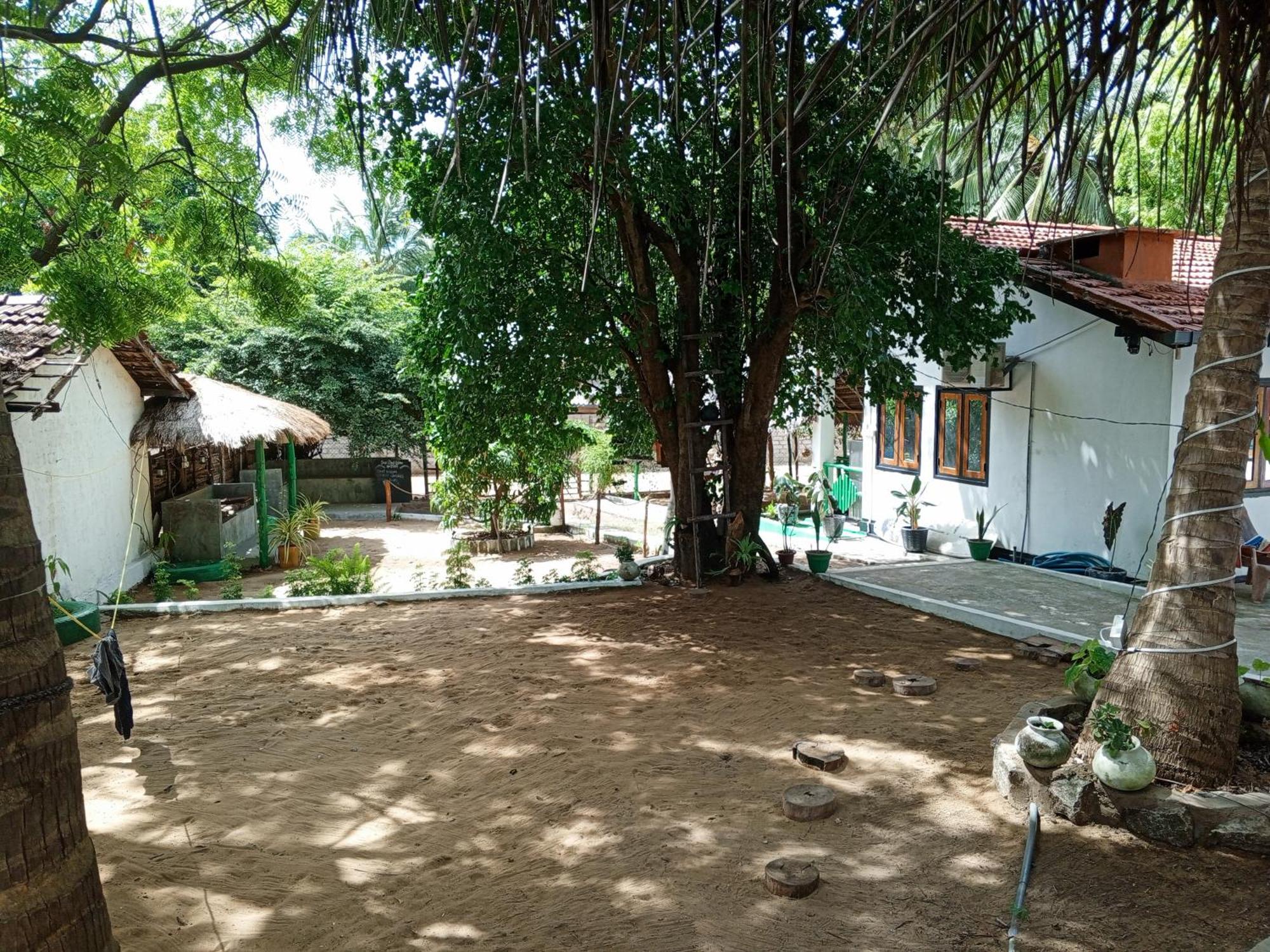 Surfing Lion Hostel ארוגם מראה חיצוני תמונה